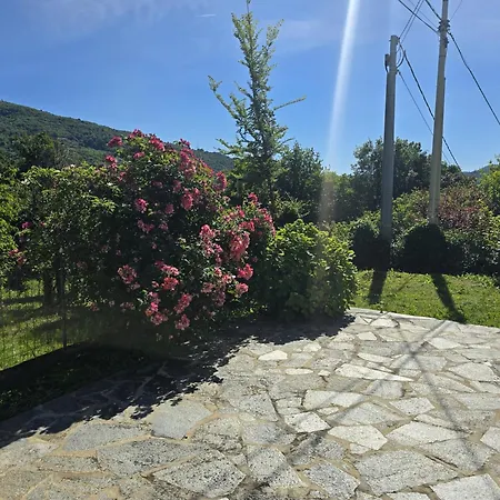 Barelin - Affitti Brevi Liguria Stella